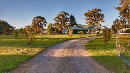 Marigold Cottage, A Blue Mountains Oasis- Spacious, Views & Kangaroos