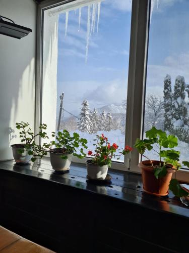 Hotel Bucegi Portile Regatului - image 8