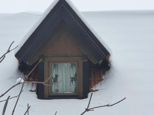 Starry Laz mountain house