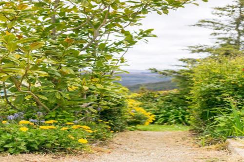 สวน, 3 Hills at The Good Place in แครเดิ้ลเมาเท่น