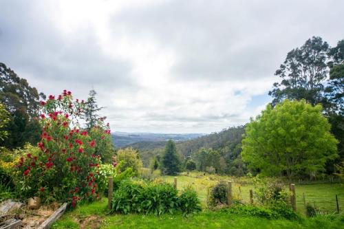 สภาพแวดล้อมโดยรอบ, 3 Hills at The Good Place in แครเดิ้ลเมาเท่น