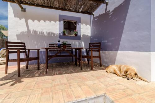 Létesítmények, Casas na Vinha - Monte da Casteleja, Wine Estate - Eco Turismo Rural in Sao Sebastiao