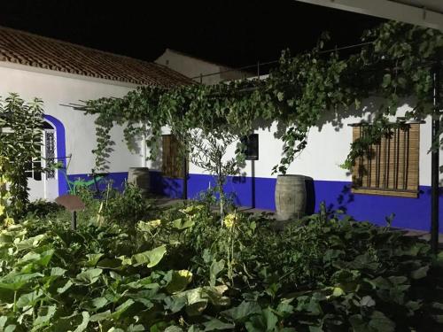  Casa (tipo) RURAL MANCHEGA, Unterkunft in La Alameda de Cervera