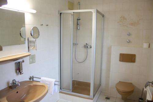 Bathroom, Pension Grunhaid in Schonwald (Bavaria)