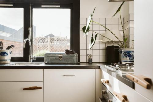 Hello I'm Local - Boutique Hostel in Spaarnwouderbuurt