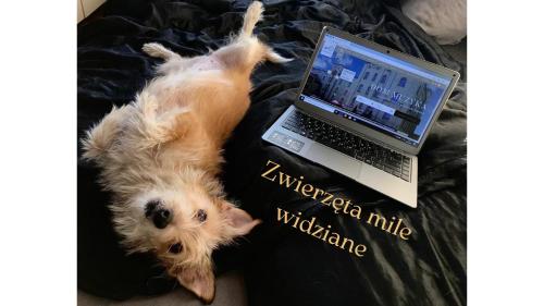Dom Muzyka - image 2