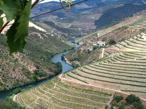 Douro House Loft - image 9