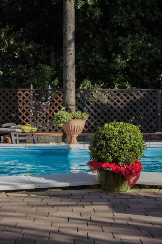 B&B Etna House – Nicolosi, CA