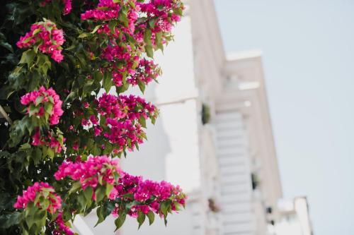 Lot Boutique Hotel - image 2