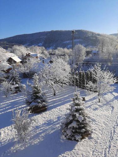 Kryvyi brid - image 12