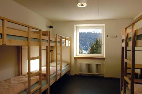 Single Bed in 6-Bed Dormitory Room