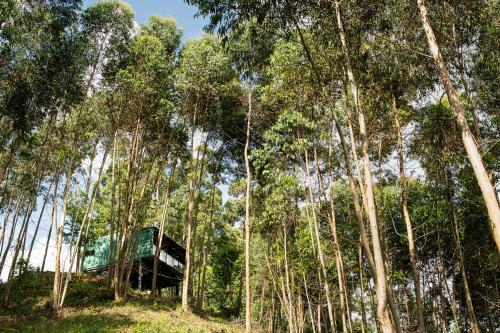 Casa Container FIGO em meio a natureza na Serra Gaúcha