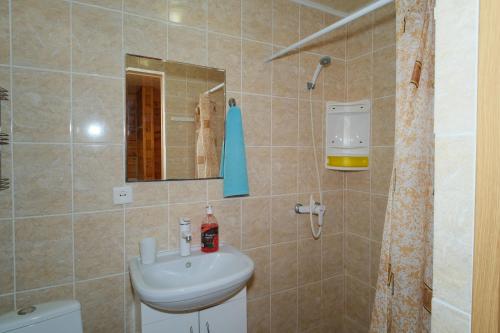 Holiday Home at Frunze