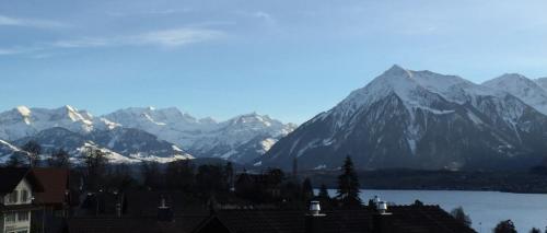 . 1 room apartment Stockhornblick
