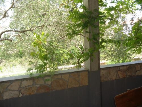 Apartments Milena