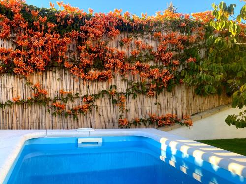 View, Suite Apto de invitados Montes de Malaga- Climatized Pool&Garden in Ciudad Jardin