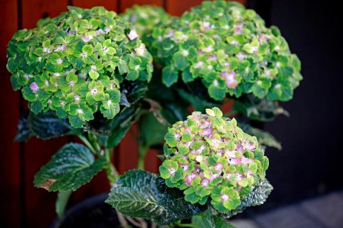 Ferienresort am Mattenweg