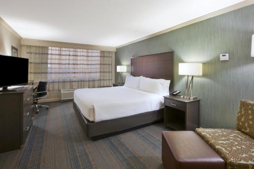 One-Bedroom King Suite