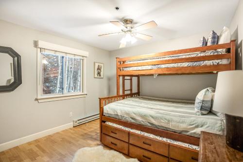 Vail Dreams