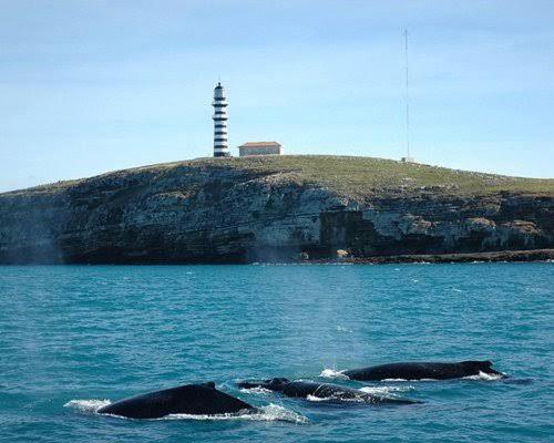 Pousada Oliveiras in คาราเวลัส