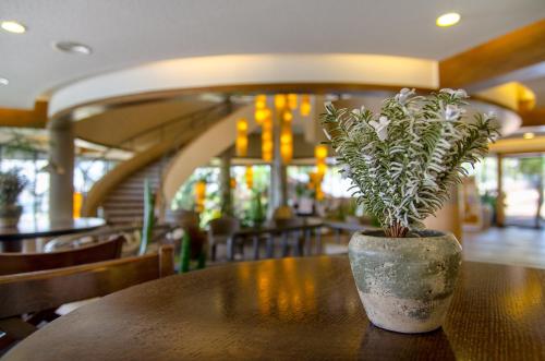 Ramot Resort Hotel - 편의 시설/서비스