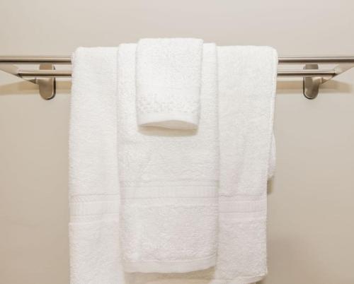 Cozy Riverfront Bungalow with Stunning Views