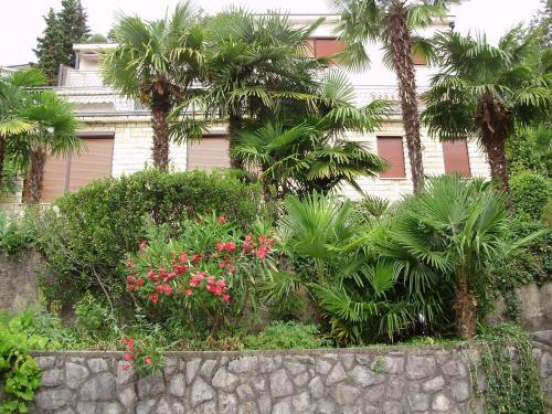 Two-Bedroom Apartment with Terrace room in Apartment Ana