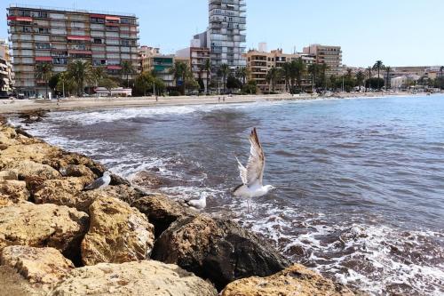 Bright apartment en Santa Pola