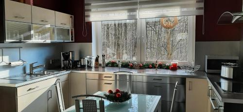 مطبخ, Ferienwohnung im grünen Muldental (Ferienwohnung im grunen Muldental) in Hartenstein