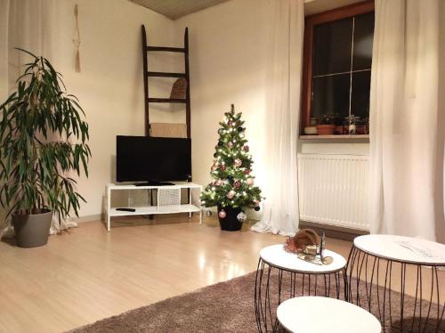 設施, Ferienwohnung Schäfer mit direktem Zugang zum Garten (Ferienwohnung Schafer mit direktem Zugang zum Garten) in 洪德爾多夫