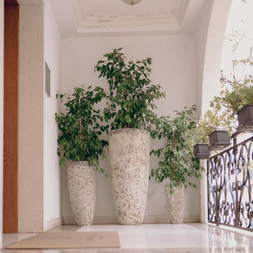 334833245 Lot Boutique Hotel by Hotels and Preference