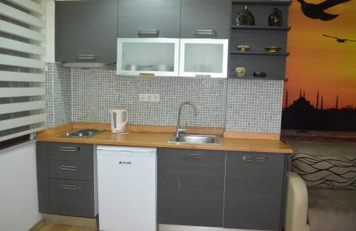 Taksim Tulip Residences & Apart Hotel, Istanbul (fotografie 2)