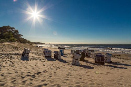 Strandidyll - Ferienwohnung mit Balkon, nur 200m bis zum Strand, Zempin (fotografie 8)