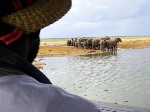 Etosha King Nehale