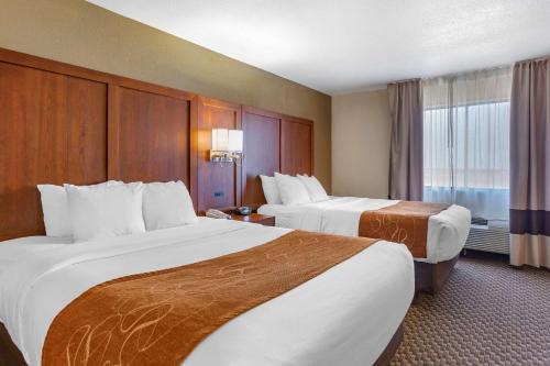 Comfort Suites Hobbs - image 14