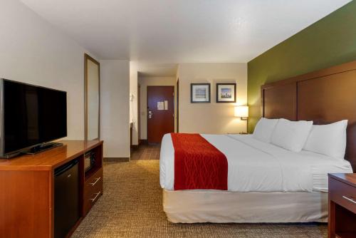 Comfort Inn & Suites Salem