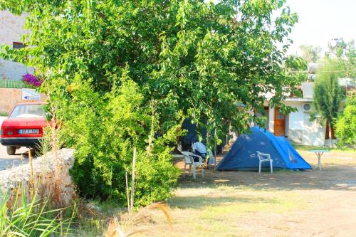 Medusa Camping - image 14