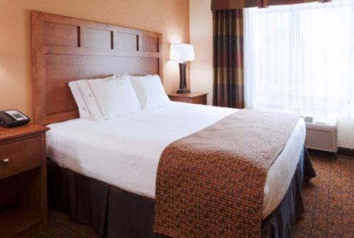 Holiday Inn Express Hotel & Suites Mount Airy, an IHG Hotel