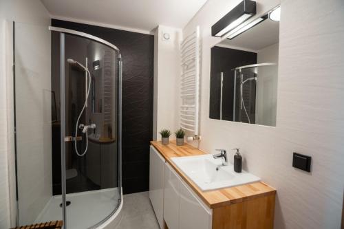 Apart Invest Widok 800 C7, Szklarska Poręba (foto 8)