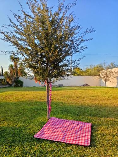 Best couple getaway! pool, BBQ, sleep under the stars!