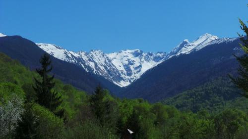 Skats, Casa Ada in Arpasu de Sus