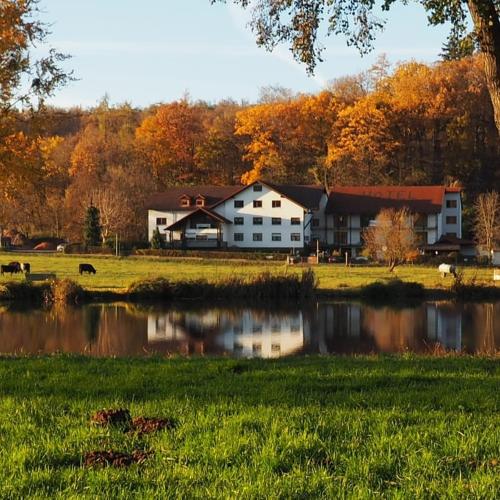 Landgasthof Rotlipp Gästezimmer in Ortenberg, Deutschland
