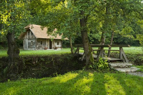 Turistična kmetija Šeruga - main image