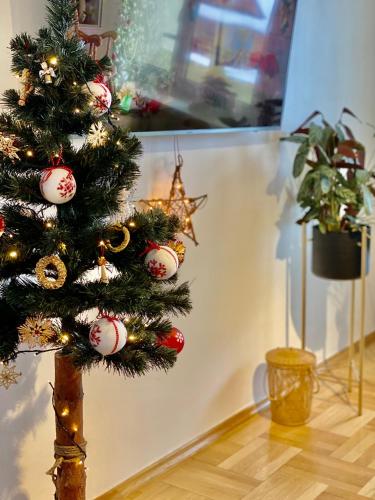 Uroczy Apartament 50 metrów od Krupówek, 2 osobne sypialnie, Zakopane (fotografie 4)