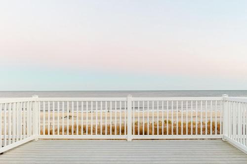 Ocean Colony 29