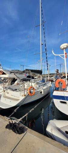 Velero en Port Forum sail boat