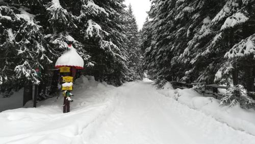 Chata Maco, Liptovský Mikuláš (foto 9)