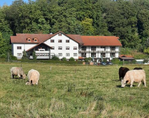 Landgasthof Rotlipp Gästezimmer