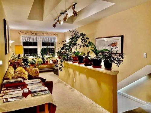 ซีฟาเรอร์ เบด แอนด์ เบรคฟาสต์ (Seafarers Bed & Breakfast) in ทอฟิโน่