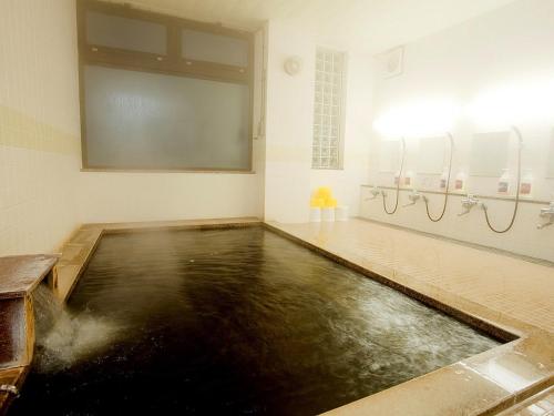 Togari Onsen Alpine Plaza - Vacation STAY 02286v